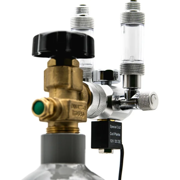 CO2 set Standard DUO avec arrêt nocturne avec bouteille de 2,1l avec accessoires