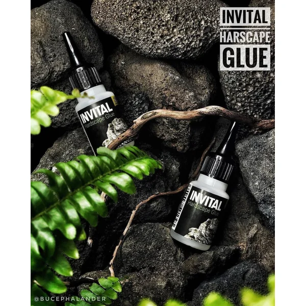 INVITAL HardScape Glue 20 g - colle pour décorations