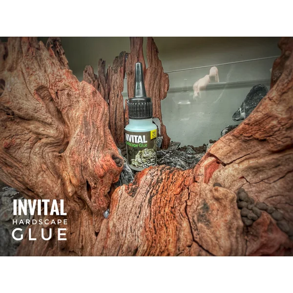 INVITAL HardScape Glue 20 g - colle pour décorations