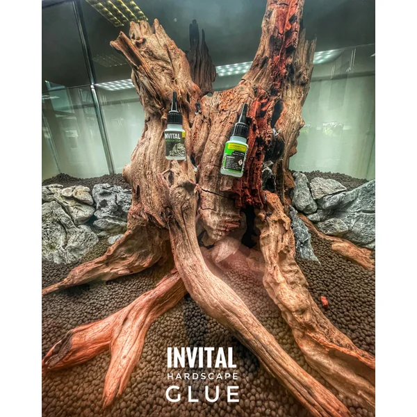 INVITAL HardScape Glue 20 g - colle pour décorations