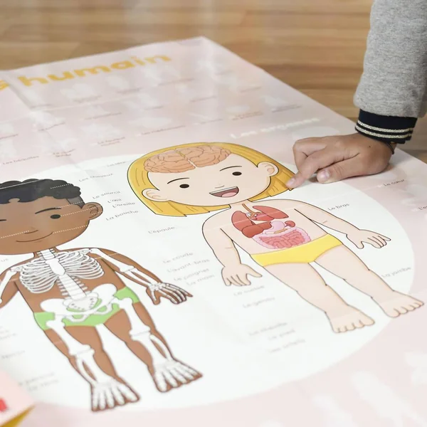 POPPIK DISCOVERY - POSTER A STICKER - LE CORPS HUMAIN