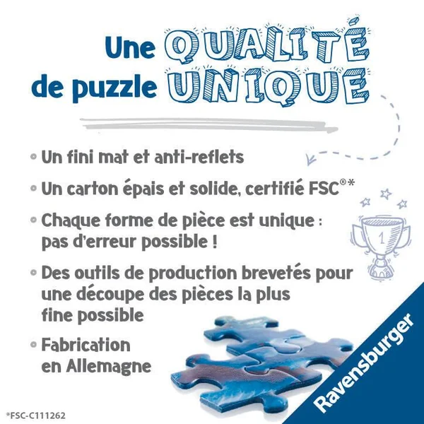 PUZZLE 3000 PIECES - PUZZLES COLORES