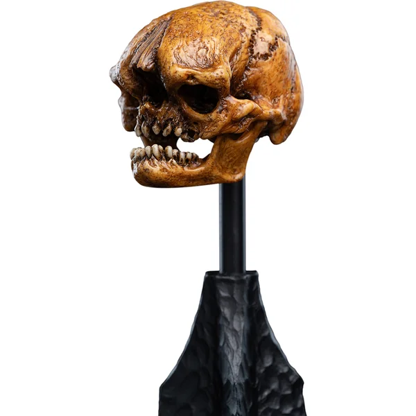 Weta Workshop La Trilogie du Hobbit - Crâne d'un Gobelin des Montagnes Brumeuses Miniature